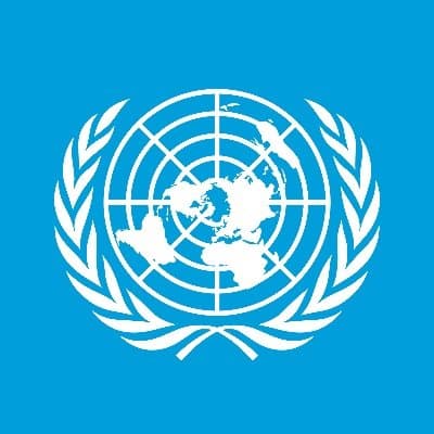 partner united nations image